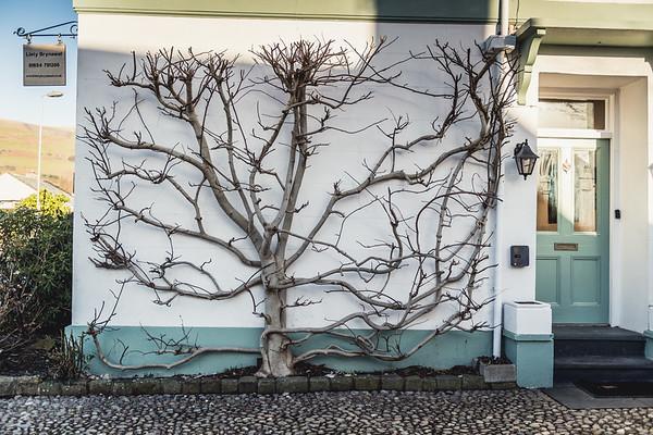 Llety Brynawel Guest House Pennal ภายนอก รูปภาพ