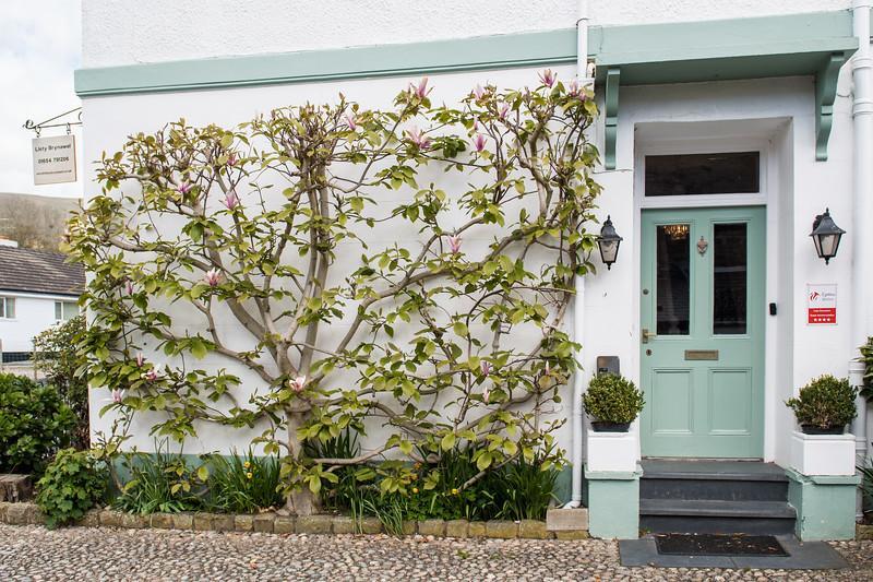 Llety Brynawel Guest House Pennal ภายนอก รูปภาพ